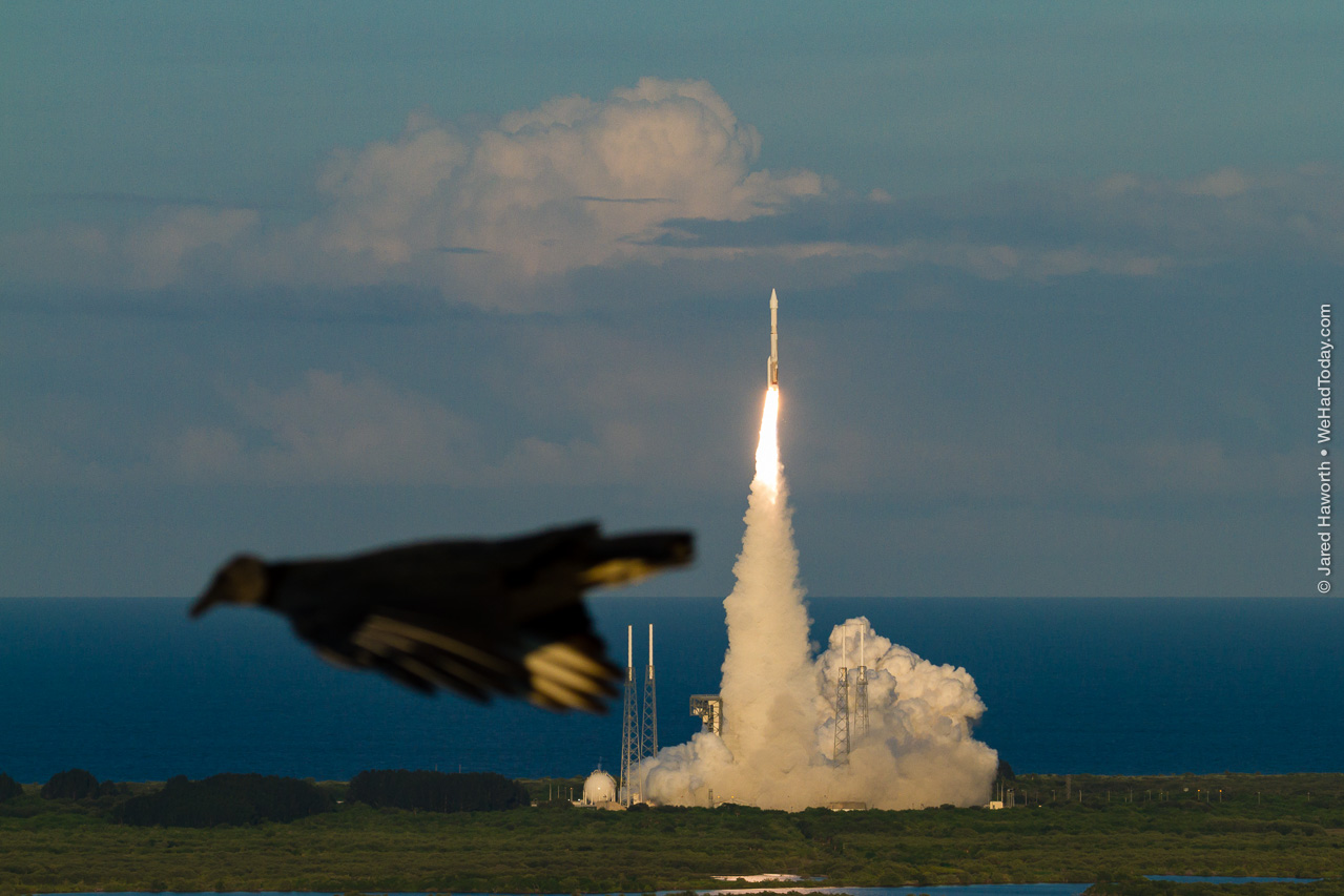 A vulture glides past the roof of NASA's Vehicle Assembly Building as OSIRIS-REx launches.
